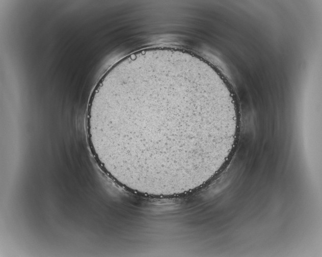 X0000115851338200911201605