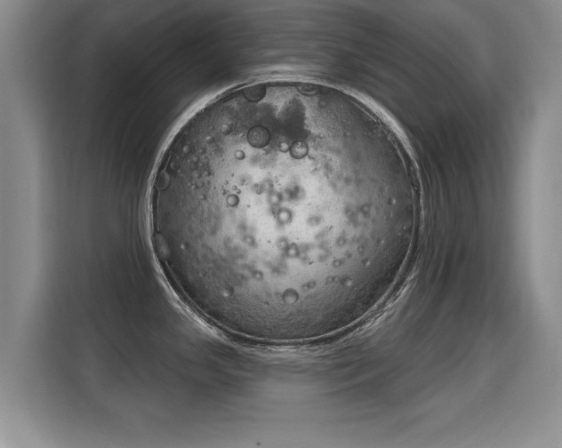 X0000115851341200911201606