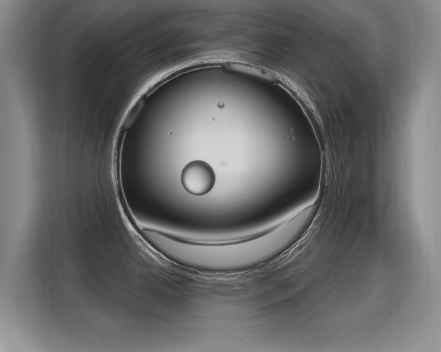 X0000115851342200911201606