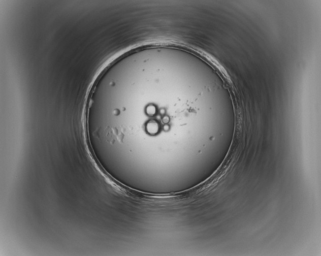 X0000115851343200911201606