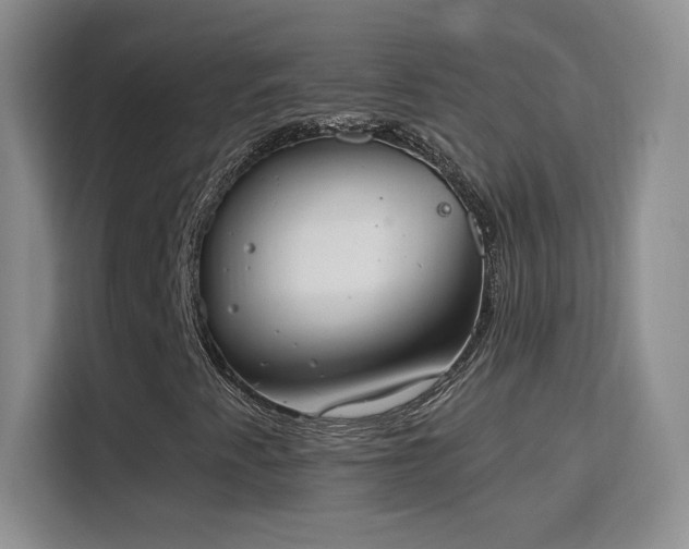 X0000115851345200911201605