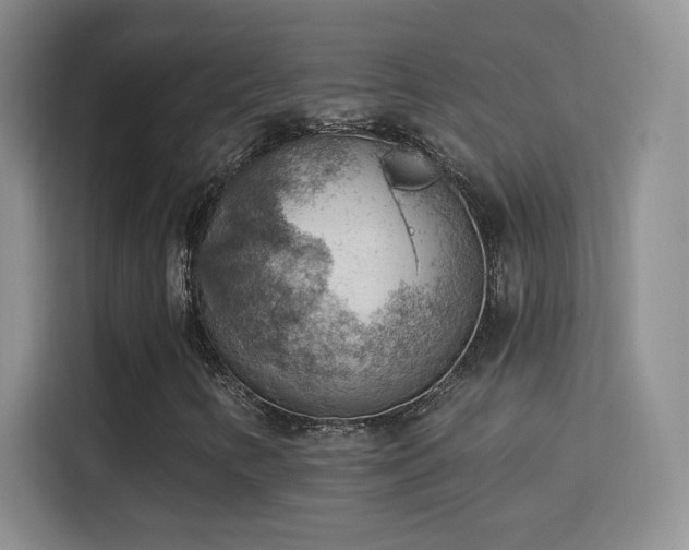 X0000115851346200911201605