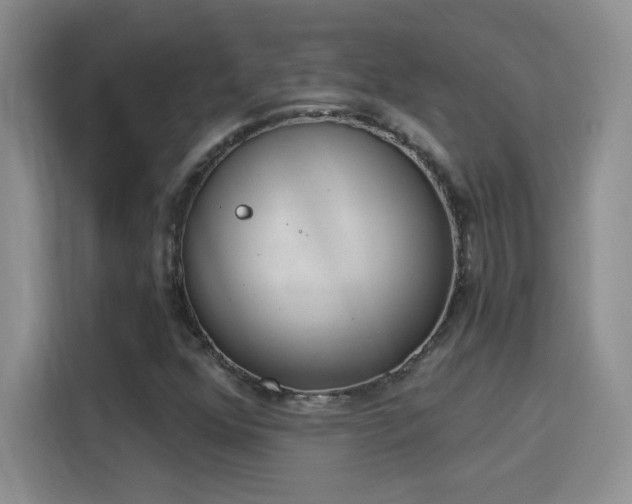 X0000115851352200911201605