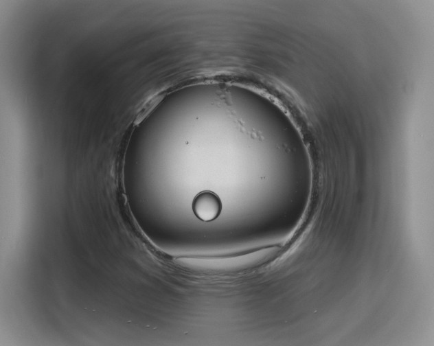 X0000115851353200911201605