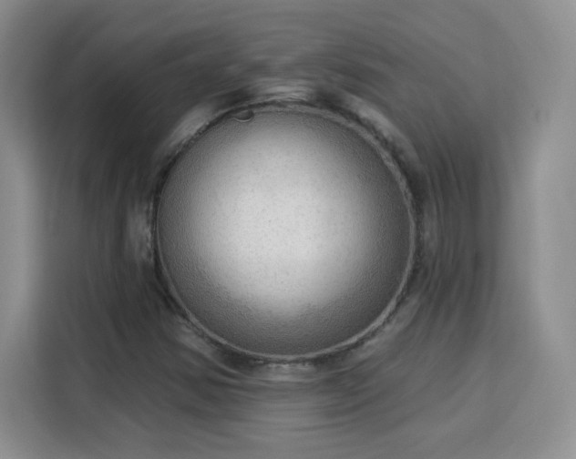 X0000115851354200911201605