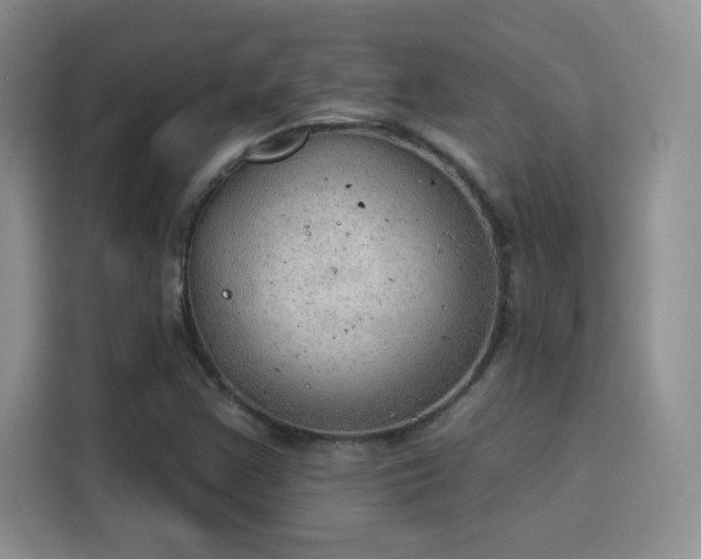 X0000115851355200911201605