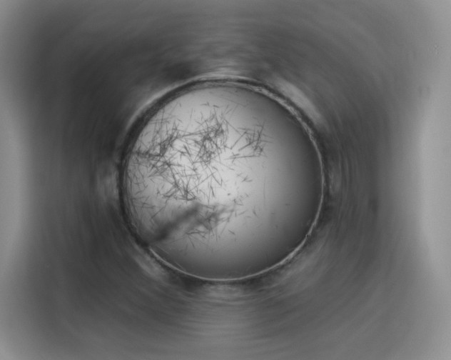 X0000115851356200911201605