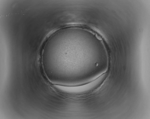 X0000115851357200911201605
