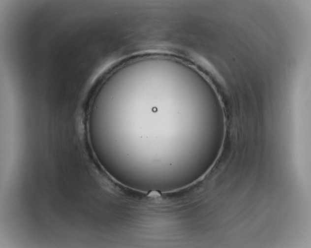 X0000115851360200911201605