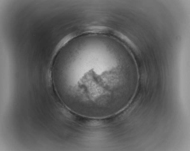 X0000115851362200911201605