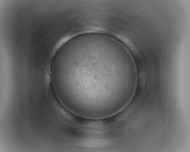 X0000115851363200911201605