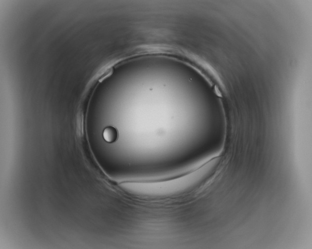 X0000115851365200911201605