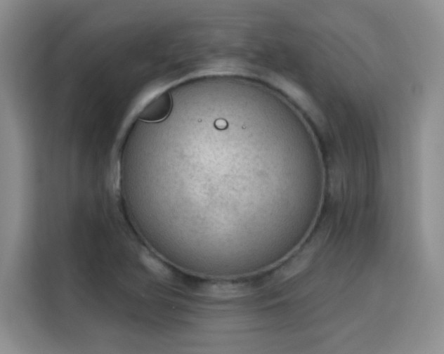 X0000115851366200911201605