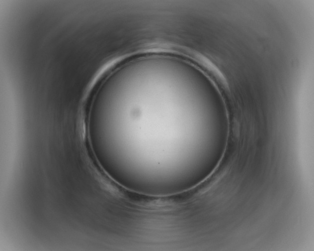 X0000115851368200911201605