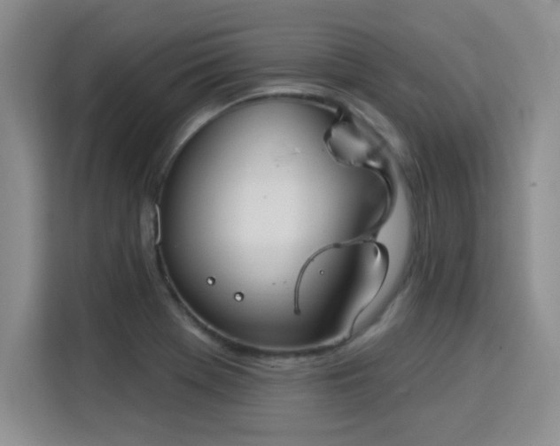 X0000115851369200911201605