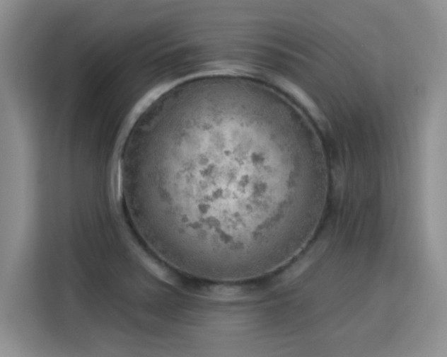 X0000115851371200911201604