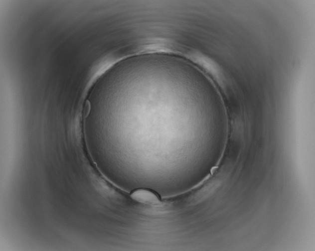 X0000115851373200911201604