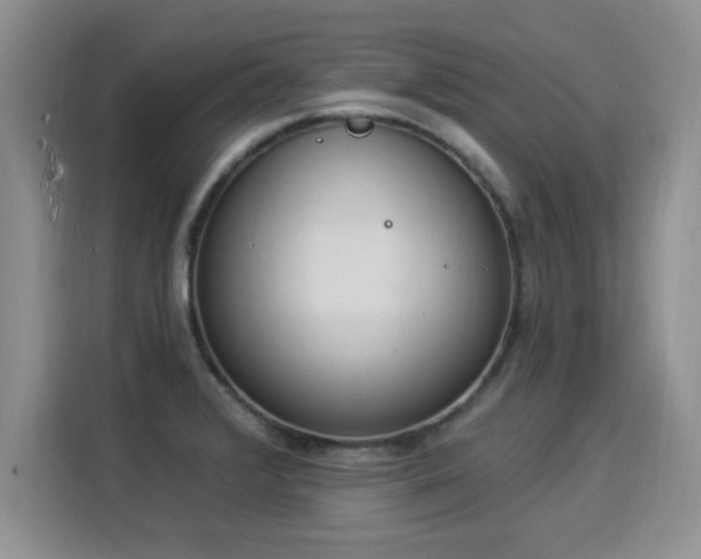 X0000115851376200911201604
