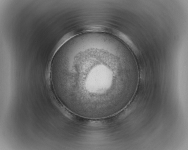 X0000115851378200911201604