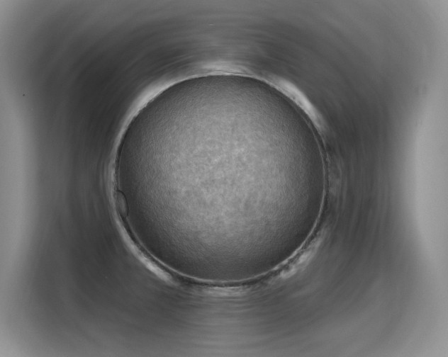 X0000115851381200911201604