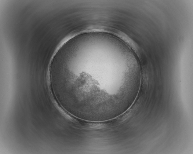 X0000115851382200911201604