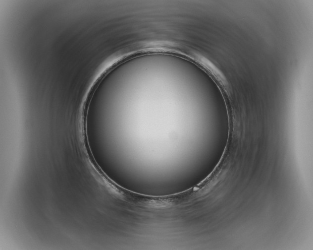 X0000115851384200911201604