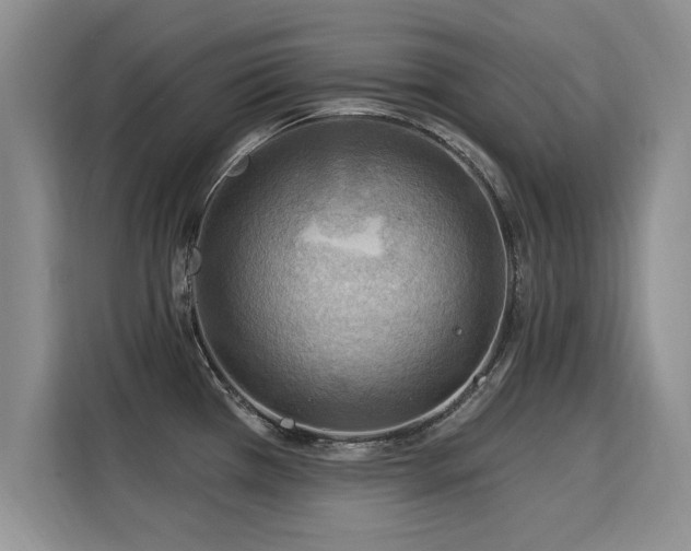 X0000115851385200911201604
