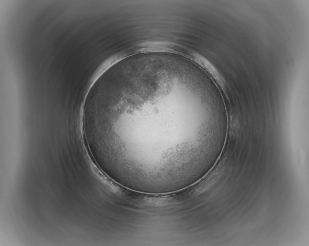 X0000115851386200911201604