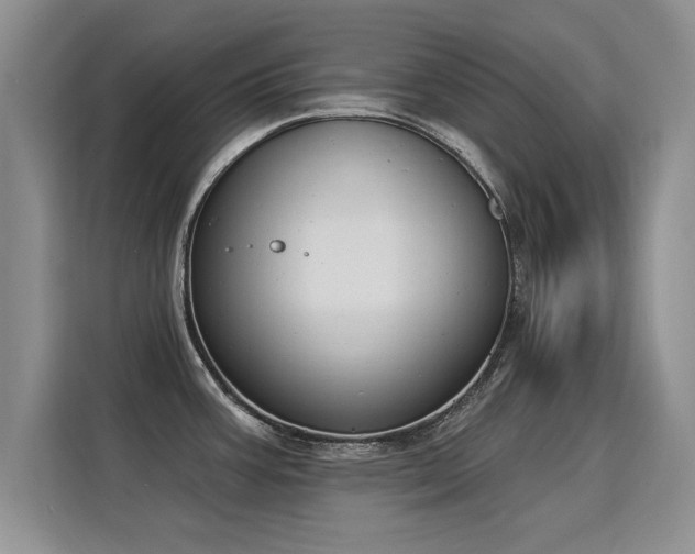 X0000115851387200911201604