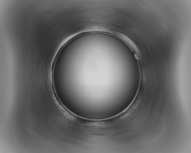 X0000115851388200911201604