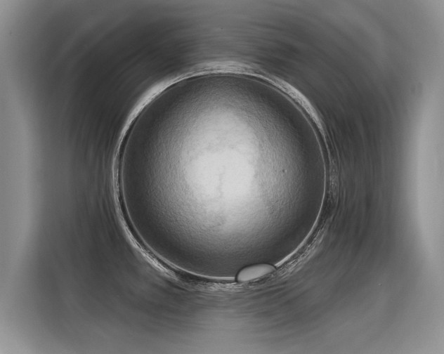 X0000115851389200911201604