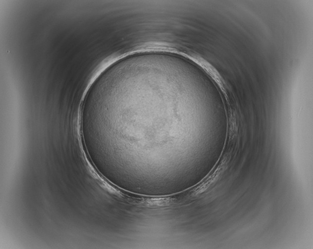 X0000115851390200911201604