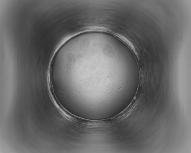 X0000115851391200911201604