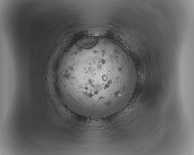 X0000115851393200911201603