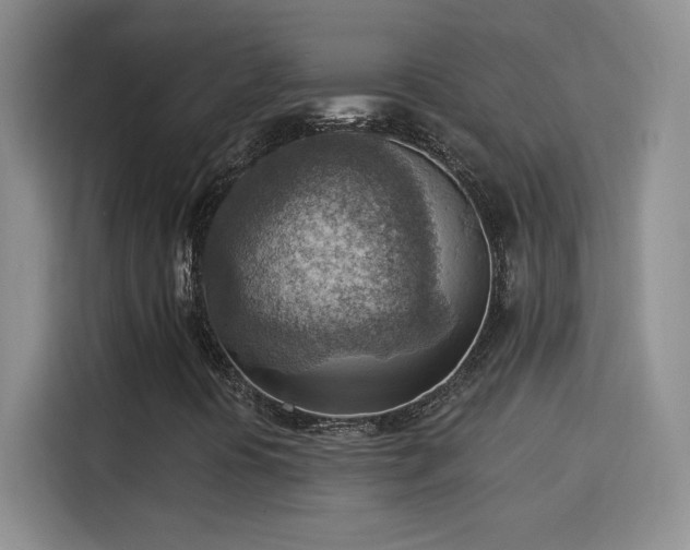 X0000115851394200911201604