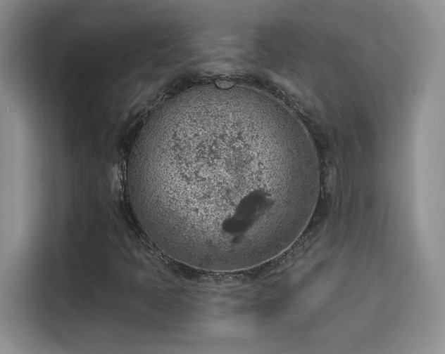X0000115851397200911201604