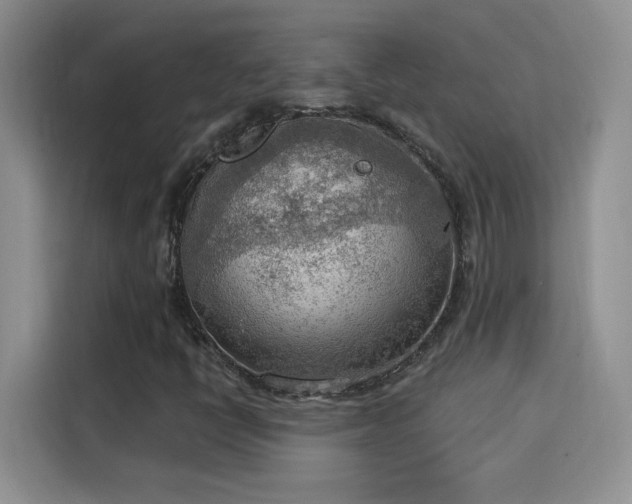 X0000115851398200911201604