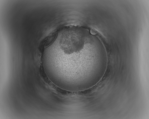 X0000115851399200911201604
