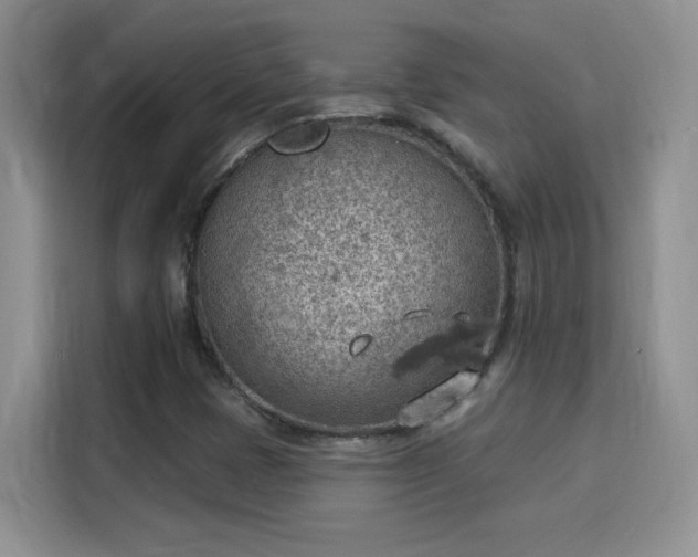 X0000115851401200911201604