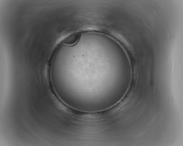 X0000115851404200911201604