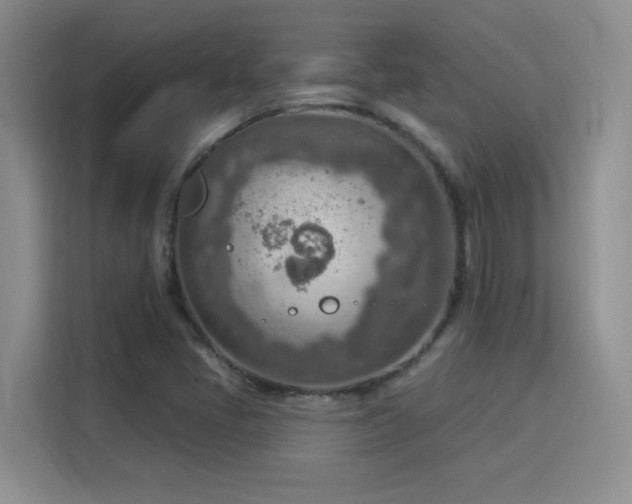 X0000115851405200911201604