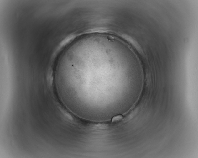X0000115851406200911201604