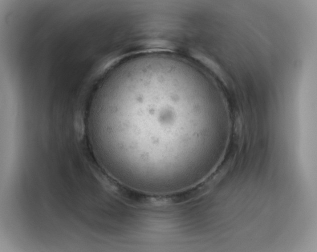 X0000115851407200911201604