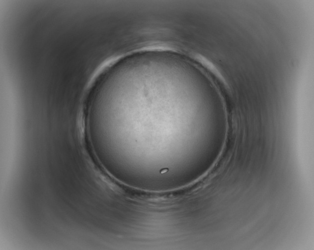 X0000115851408200911201604