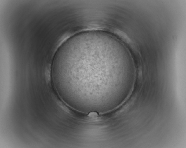 X0000115851409200911201604