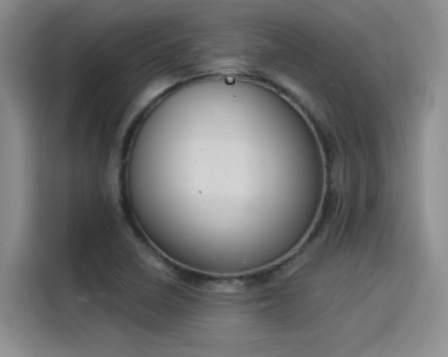 X0000115851410200911201604