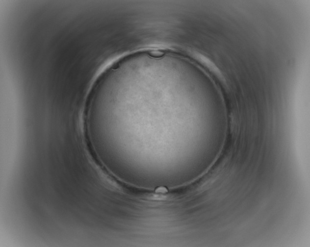 X0000115851412200911201604