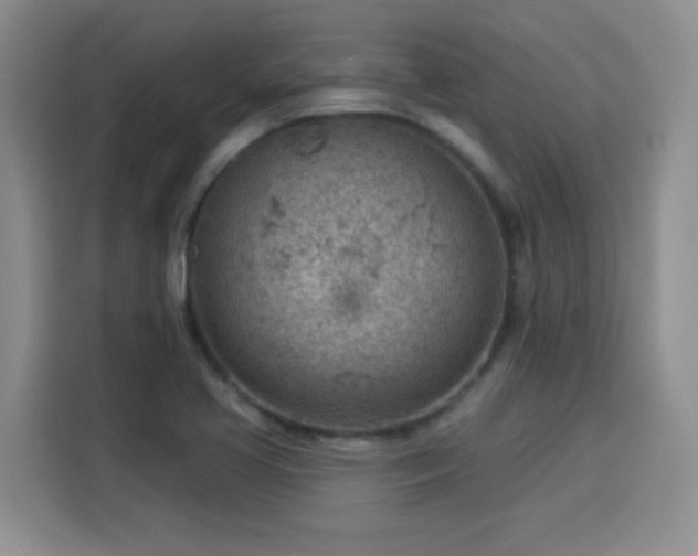 X0000115851413200911201604