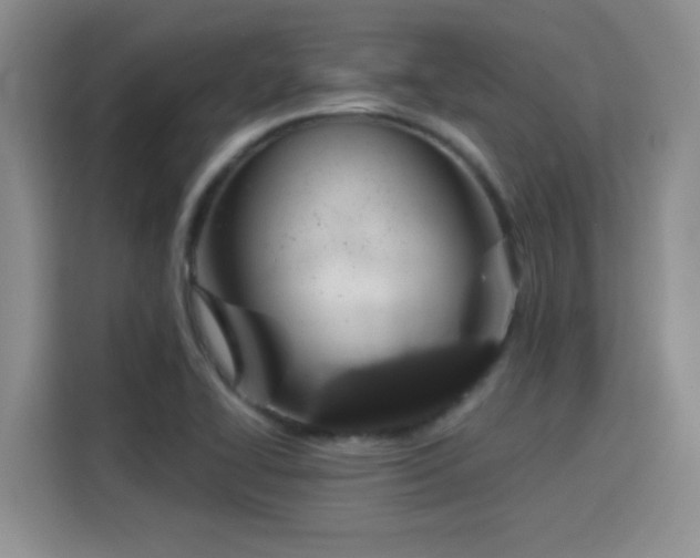 X0000115851414200911201604