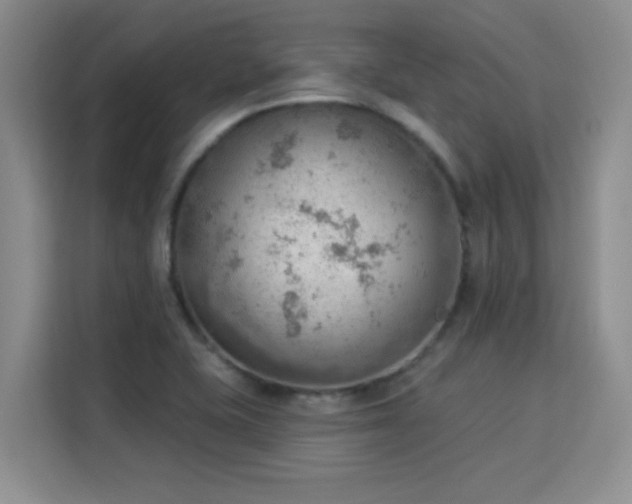 X0000115851415200911201604